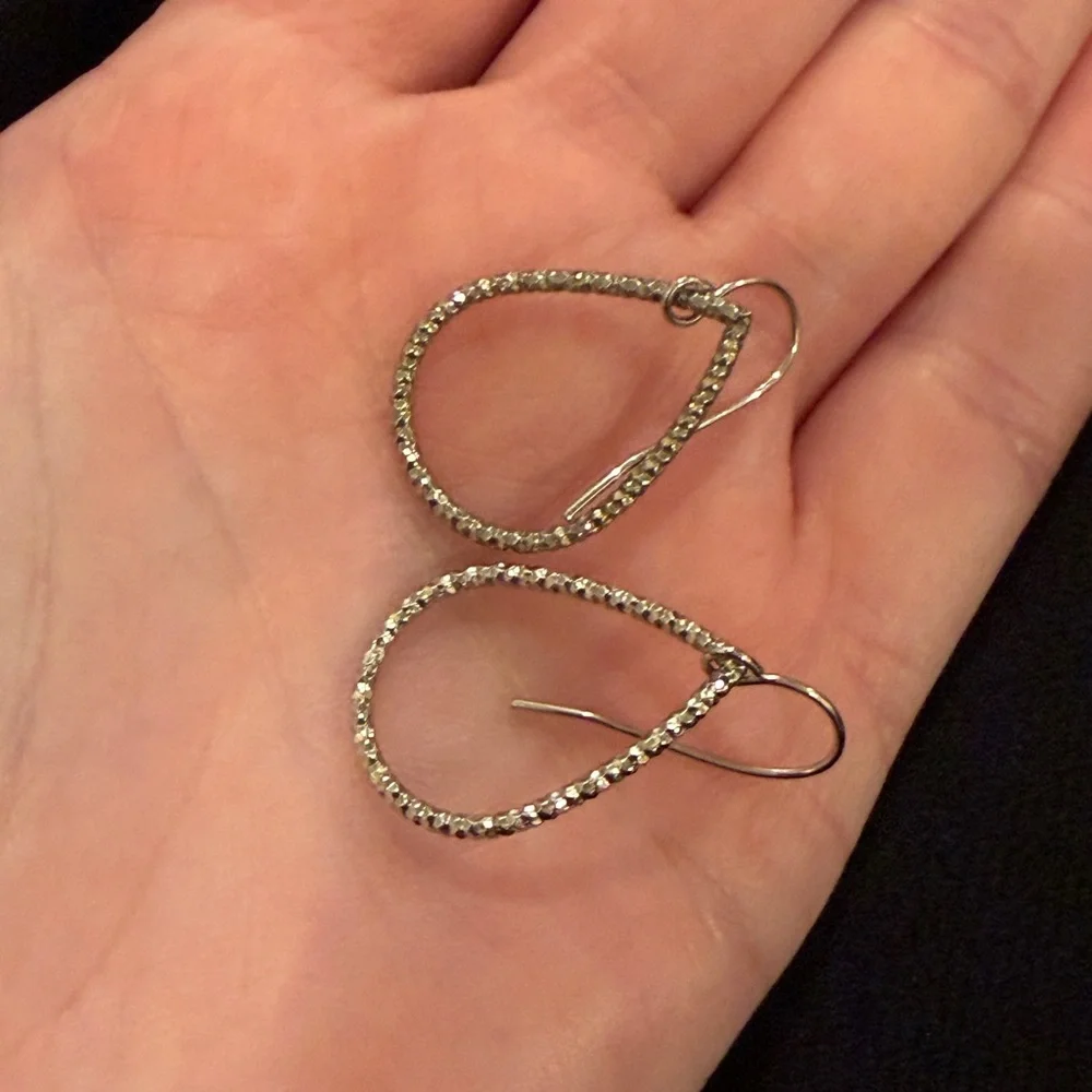 Francesca’s Collection Silver Sparkle Teardrop Earrings